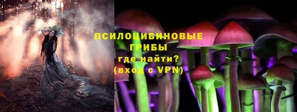 кокс Богородицк