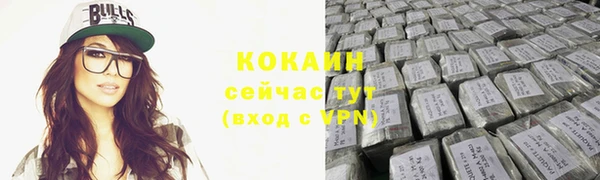 кокс Богородицк