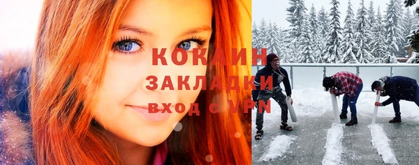 кокс Богородицк