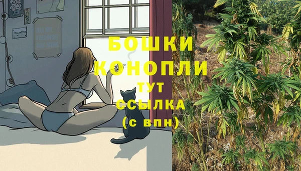 кокс Богородицк