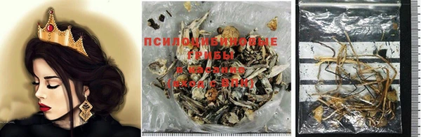 кокс Богородицк